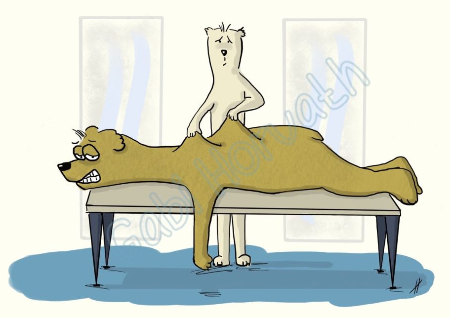 Entspannung Ein Bär genießt die Massage und das entspannt ihn völlig.